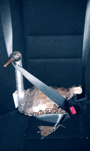 Buckle up, Lil Duck!